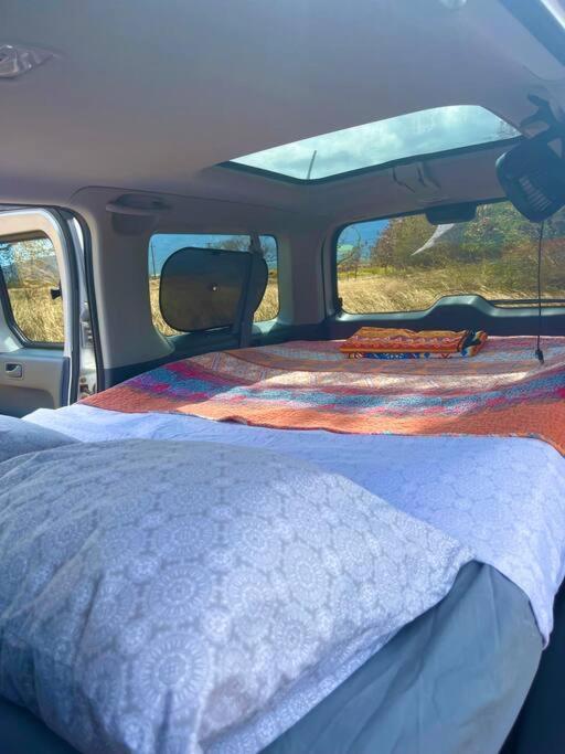 Campervan/Maui Hosted By Go Camp Maui Kihei Eksteriør bilde